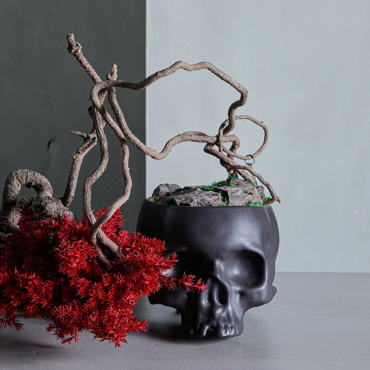 【楽ギフ_包装】 SKULL BONSAI™︎（真柏／紅樺色） RE 彫刻・オブジェ