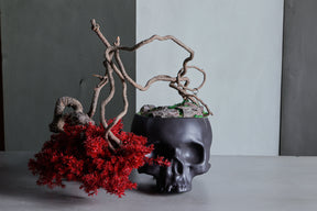 SKULL RE BONSAI™︎（真柏／紅樺色）