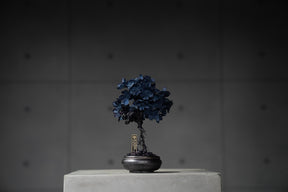 9/15 new RE BONSAI™️ AIZOME SAKURA HACHI