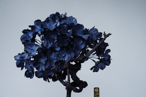 10/2 new RE BONSAI™️ AIZOME SAKURA HACHI