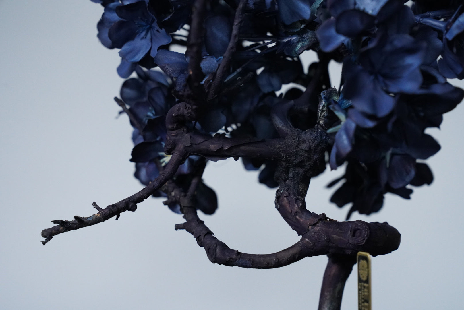 10/2 new RE BONSAI™️ AIZOME SAKURA HACHI