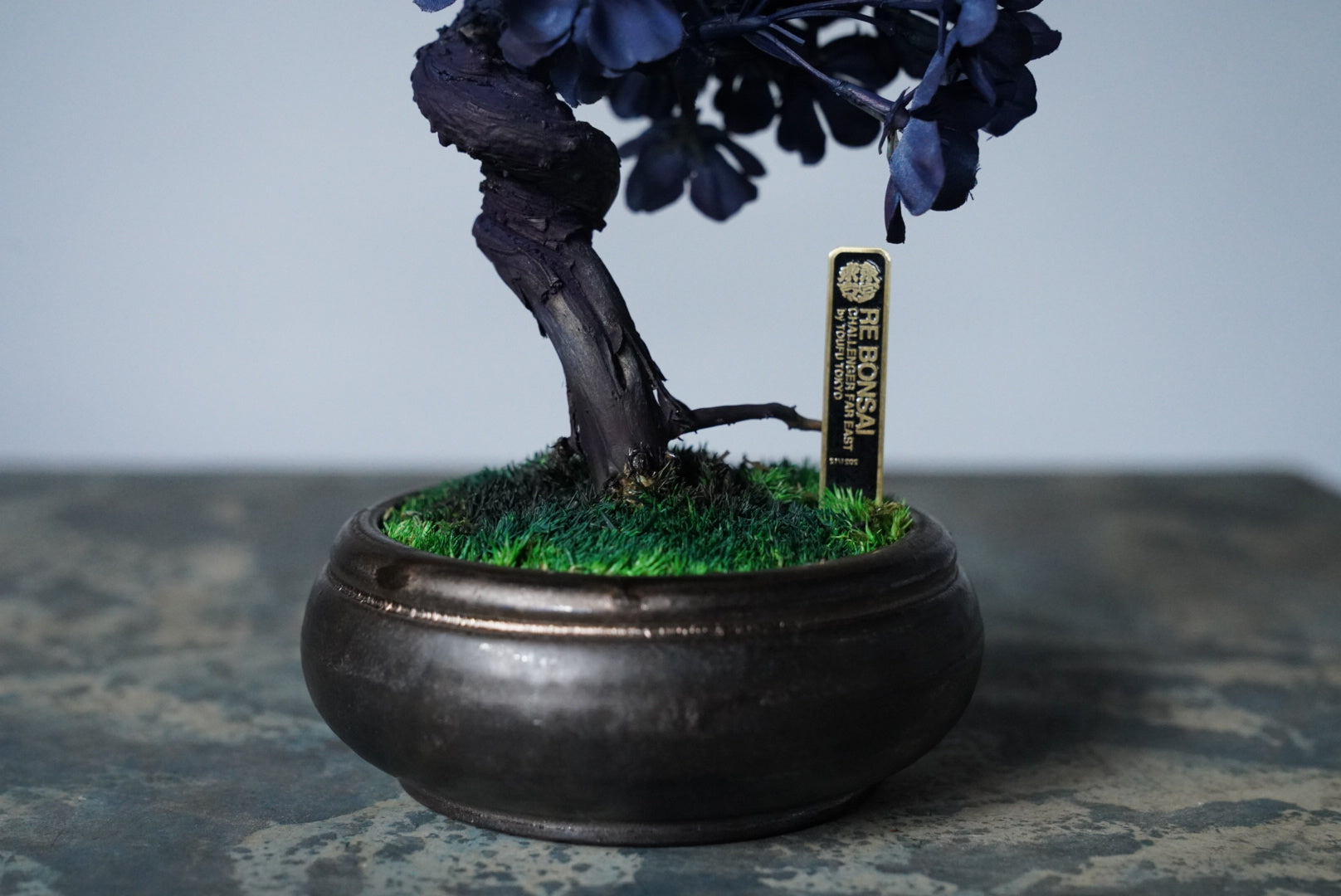 10/2 new RE BONSAI™️ AIZOME SAKURA HACHI