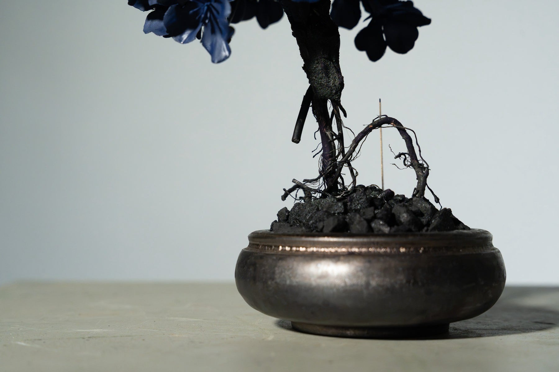 7/29 new RE BONSAI™️ AIZOME SAKURA HACHI