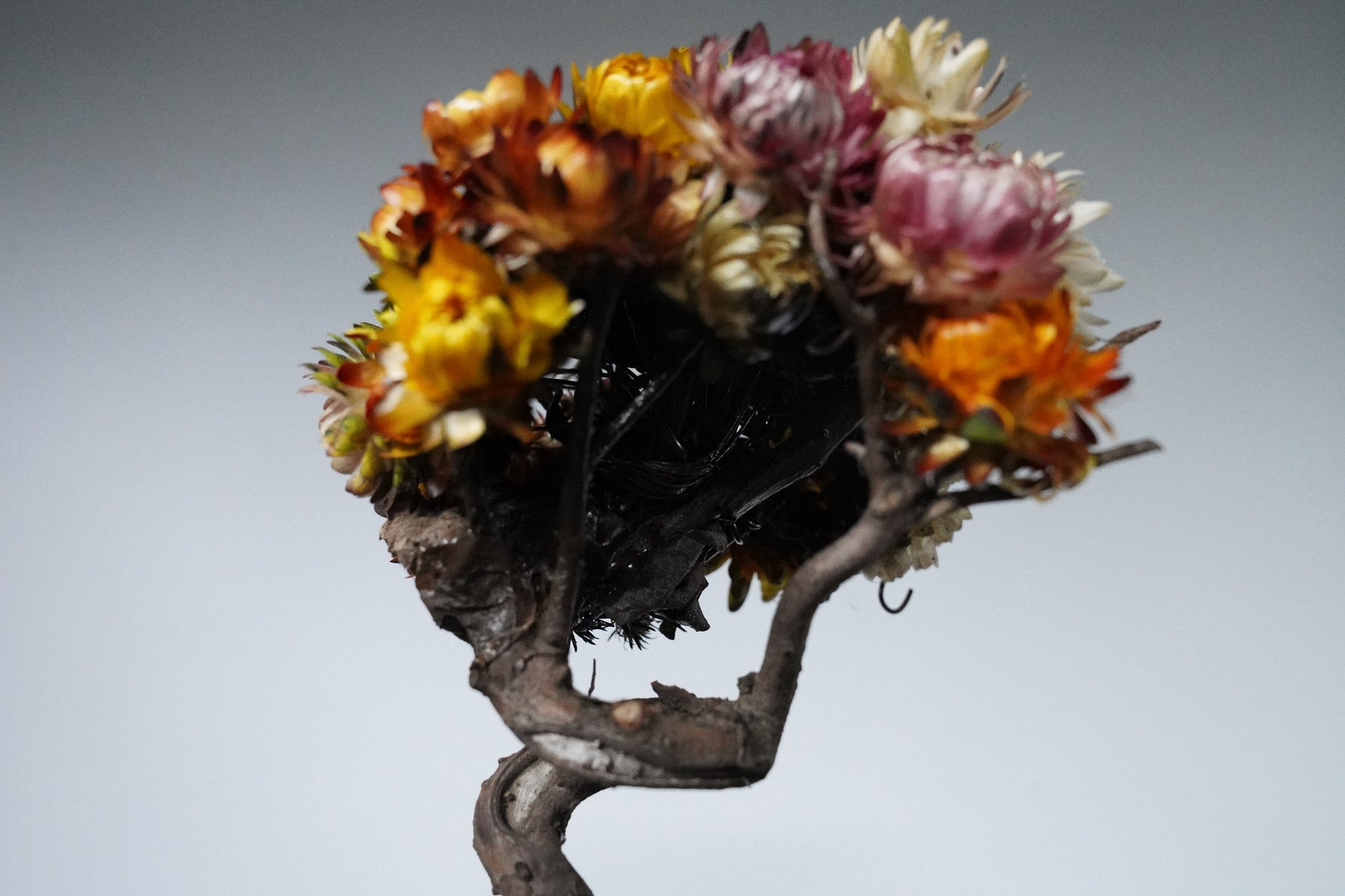 9/18 new RE BONSAI™️ HACHI（フラワーデザイン）