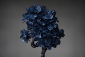 9/15 new RE BONSAI™️ AIZOME SAKURA HACHI