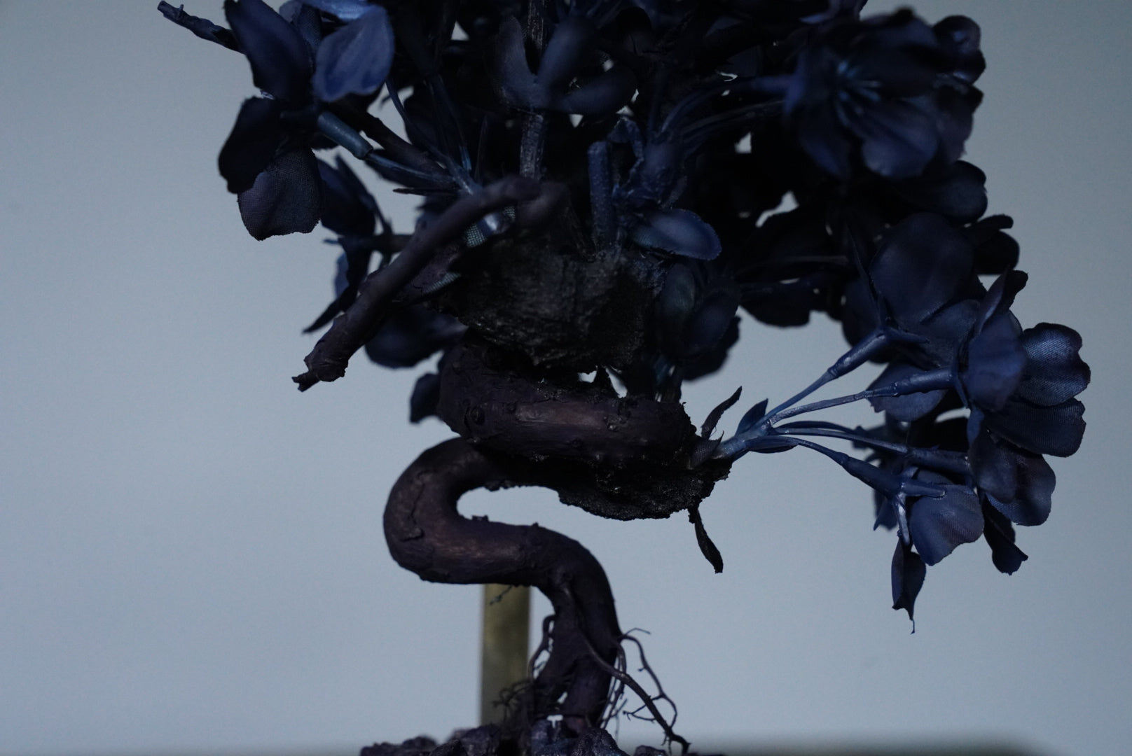 10/2 new RE BONSAI™️ AIZOME SAKURA HACHI