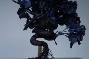 10/2 new RE BONSAI™️ AIZOME SAKURA HACHI