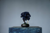 10/2 new RE BONSAI™️ AIZOME SAKURA HACHI
