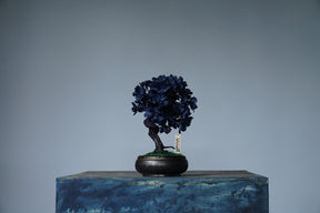 10/2 new RE BONSAI™️ AIZOME SAKURA HACHI