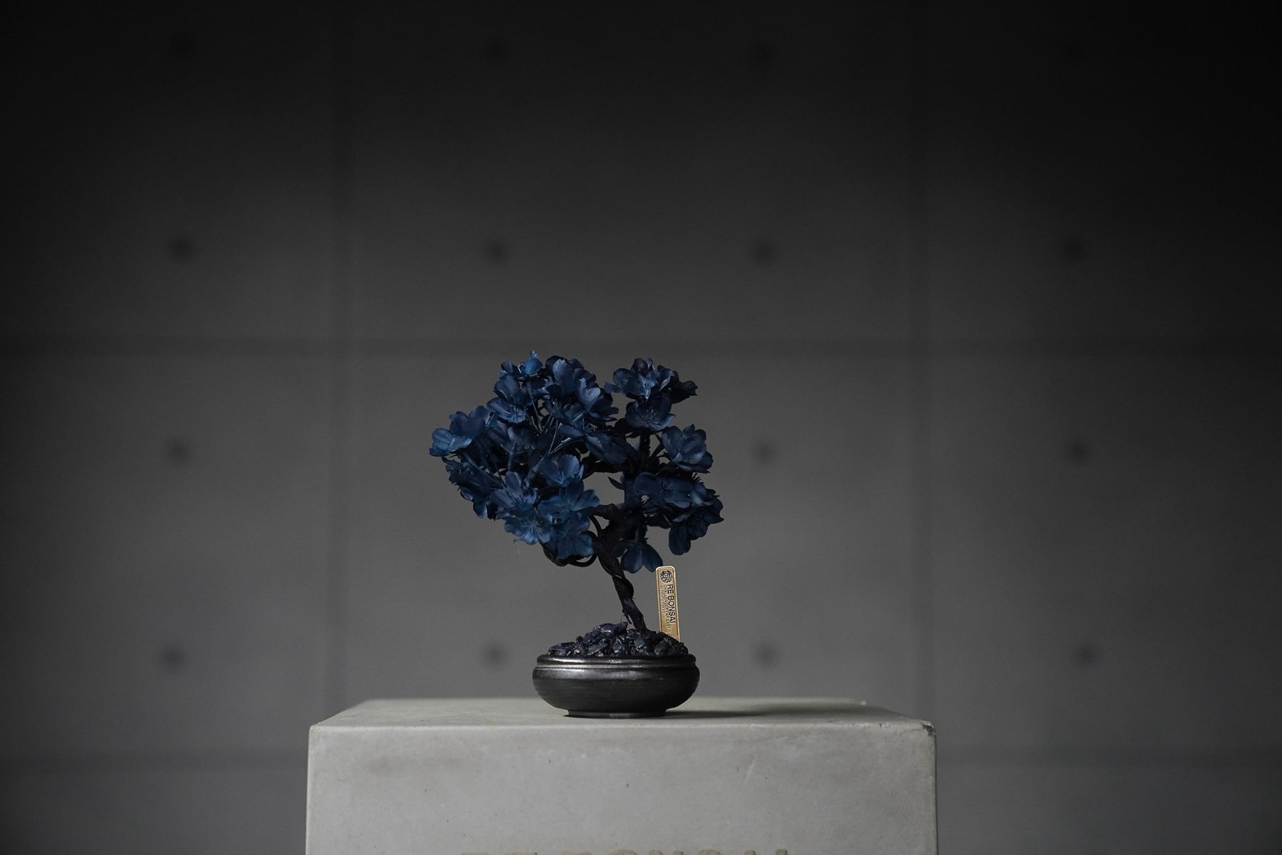 9/15 new RE BONSAI™️ AIZOME SAKURA HACHI