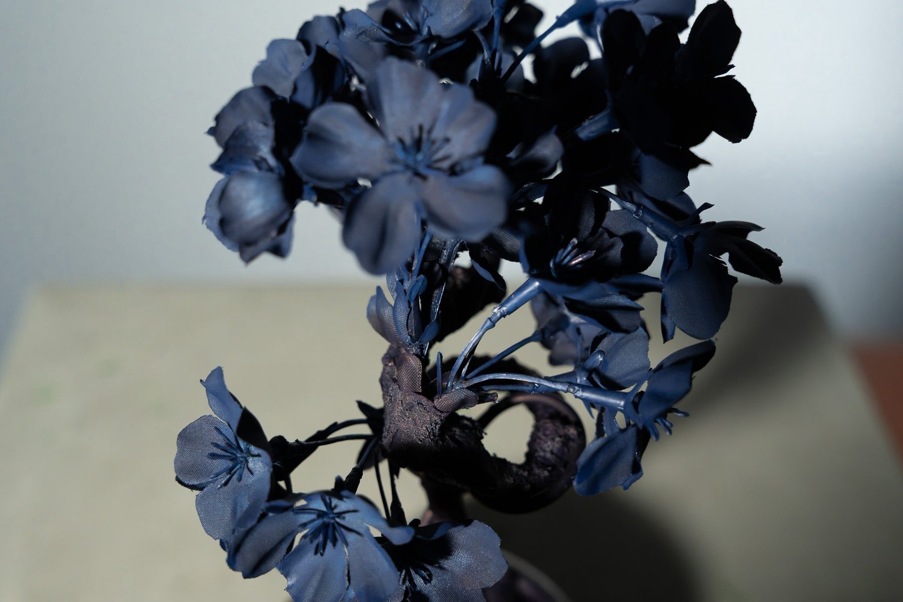 7/29 new RE BONSAI™️ AIZOME SAKURA HACHI