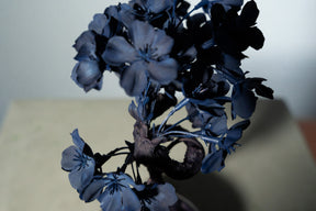 7/29 new RE BONSAI™️ AIZOME SAKURA HACHI