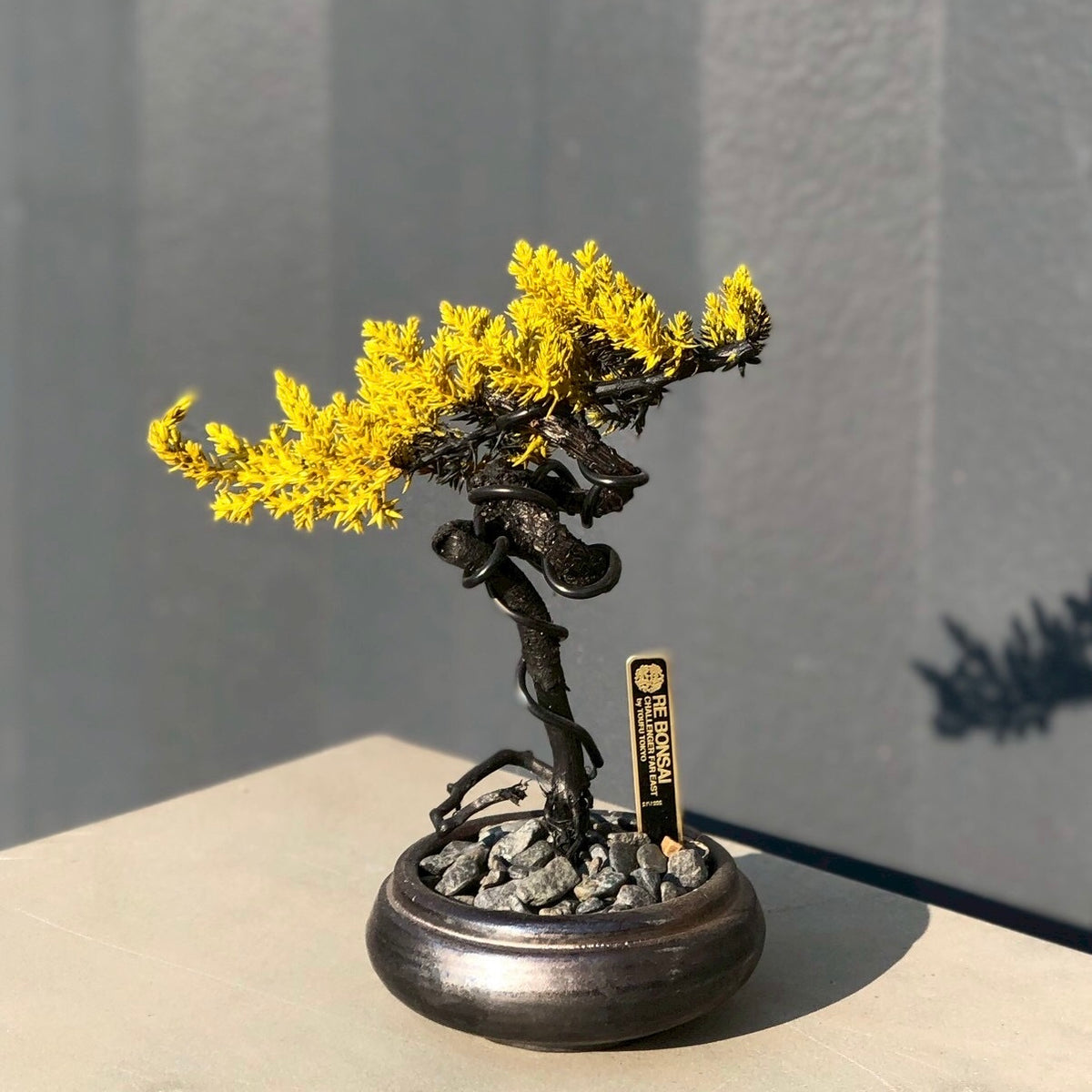 木製彫刻 置物 BONSAI RE BONSAI™️ HACHI（黄檗色）