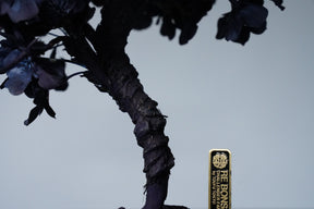 10/2 new RE BONSAI™️ AIZOME SAKURA HACHI