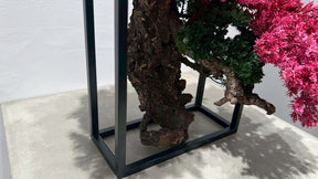 RE BONSAI™️ Frame(撫子色）