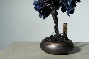 7/29 new RE BONSAI™️ AIZOME SAKURA HACHI