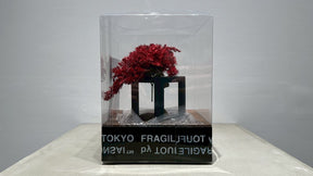 RE BONSAI™️（紅樺色）