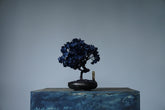 10/2 new RE BONSAI™️ AIZOME SAKURA HACHI