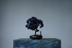 10/2 new RE BONSAI™️ AIZOME SAKURA HACHI