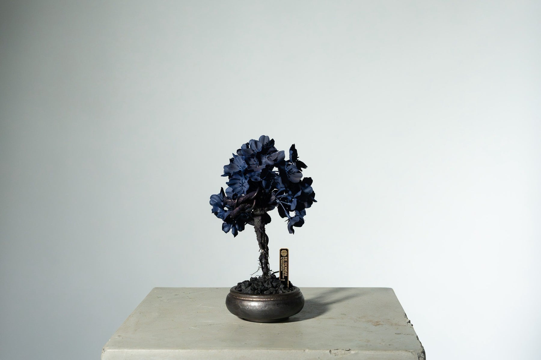 7/29 new RE BONSAI™️ AIZOME SAKURA HACHI