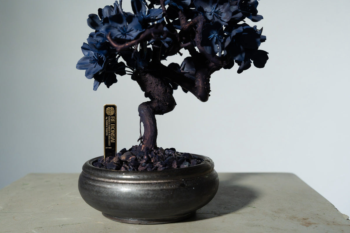 7/29 new RE BONSAI™️ AIZOME SAKURA HACHI