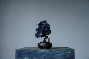 10/2 new RE BONSAI™️ AIZOME SAKURA HACHI