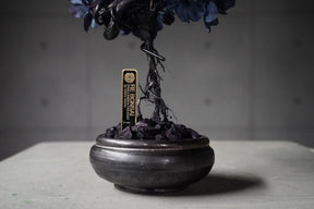 9/15 new RE BONSAI™️ AIZOME SAKURA HACHI