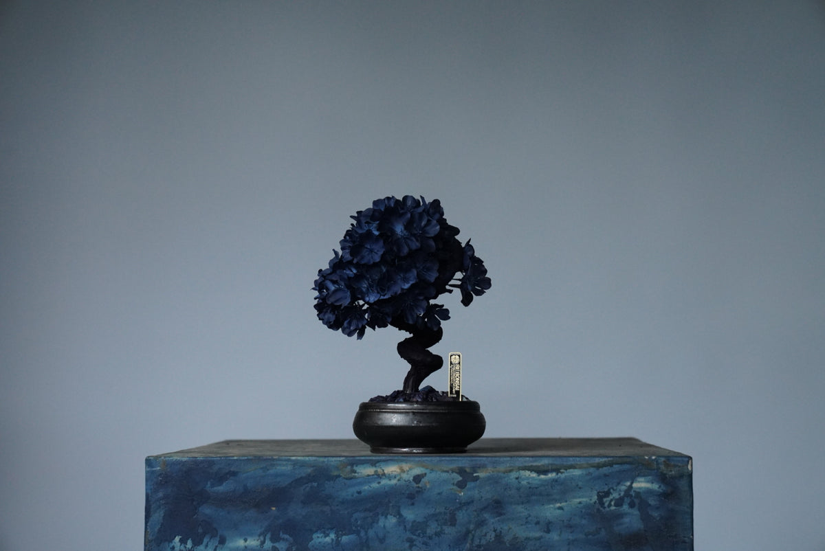 10/2 new RE BONSAI™️ AIZOME SAKURA HACHI
