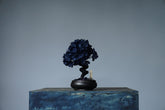 10/2 new RE BONSAI™️ AIZOME SAKURA HACHI