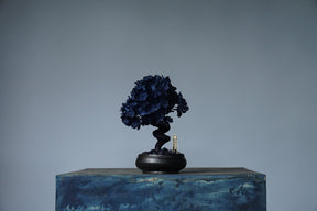 10/2 new RE BONSAI™️ AIZOME SAKURA HACHI