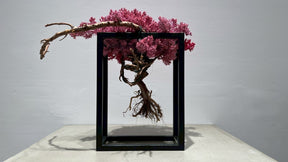 RE BONSAI™️ Frame(撫子色）
