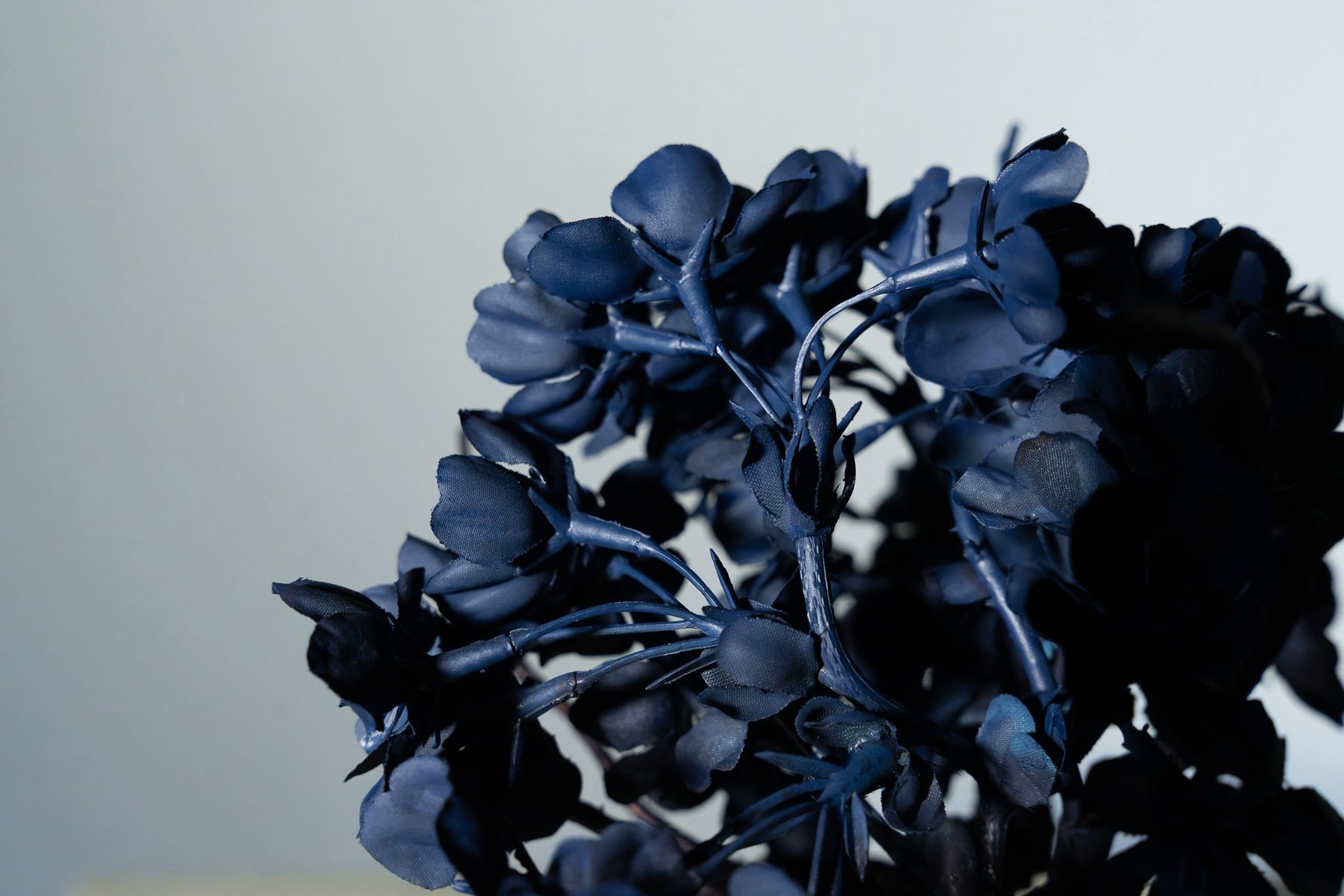 7/29 new RE BONSAI™️ AIZOME SAKURA HACHI