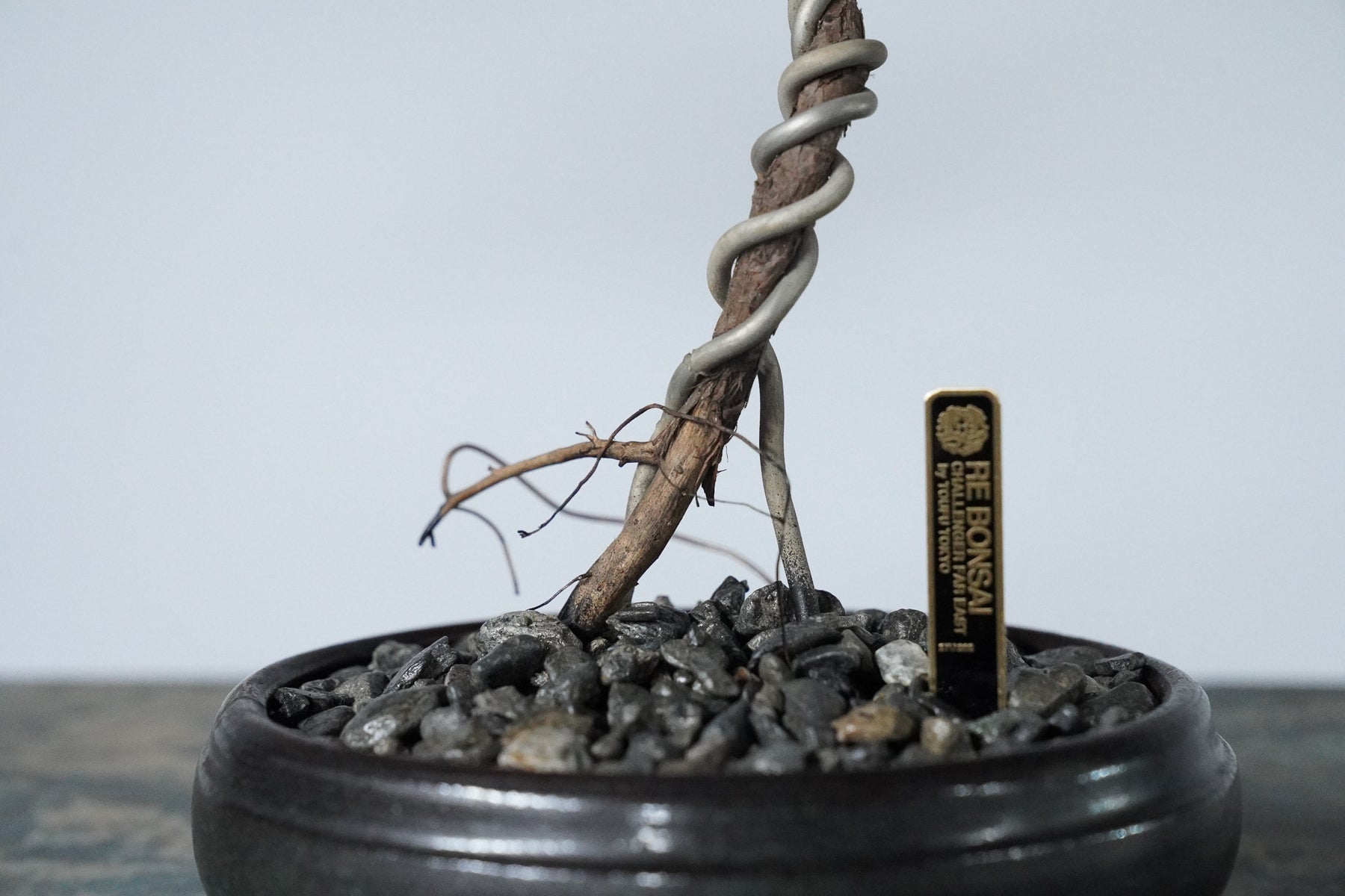 9/18 new RE BONSAI™️ HACHI（若葉色）