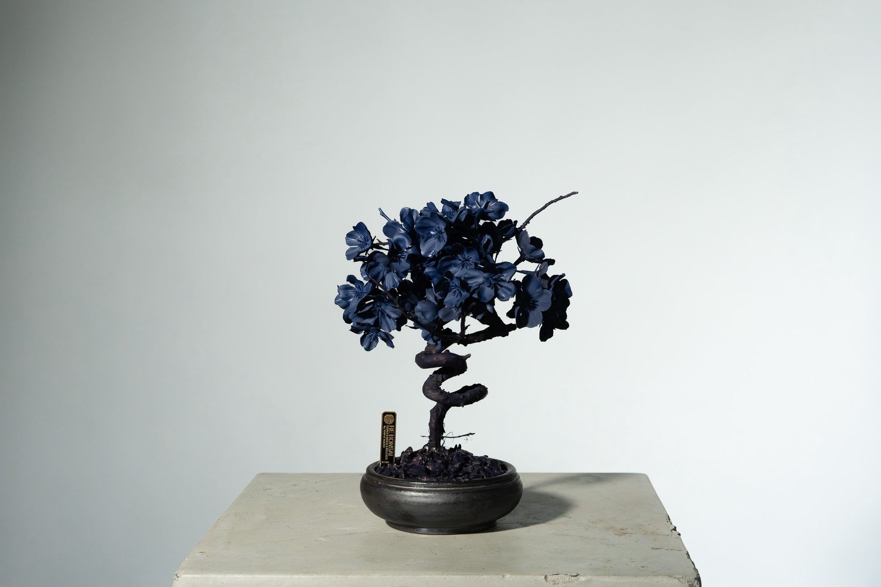 7/29 new RE BONSAI™️ AIZOME SAKURA HACHI