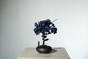 7/29 new RE BONSAI™️ AIZOME SAKURA HACHI