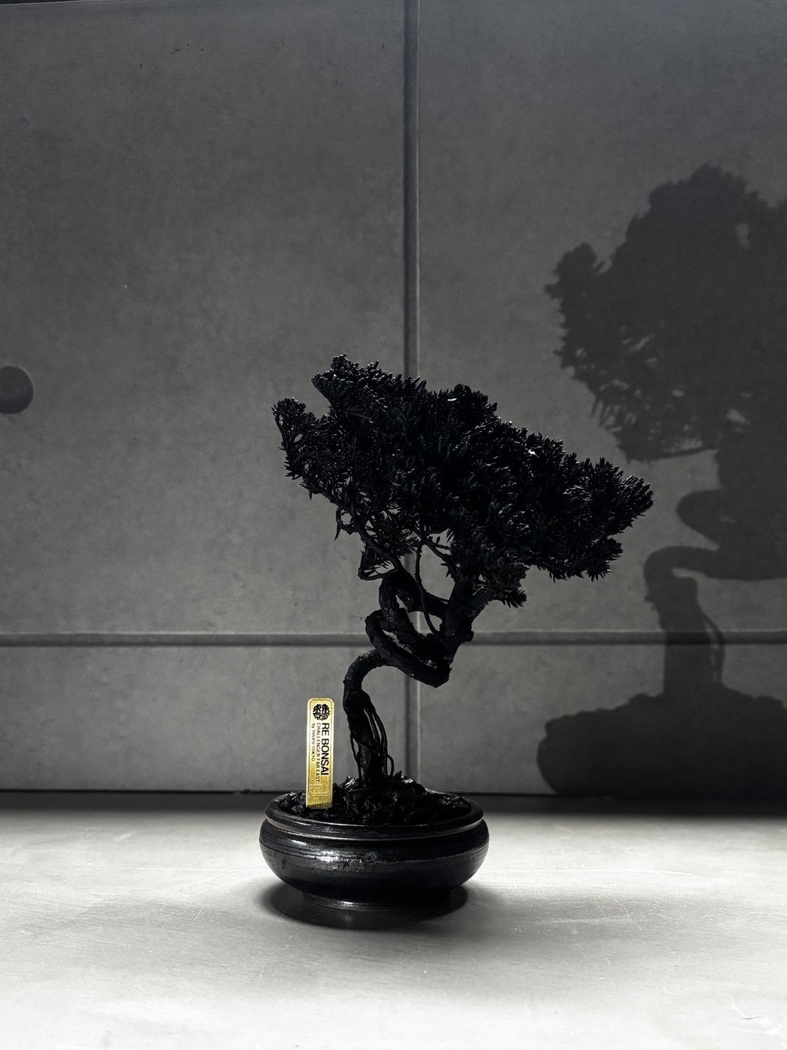 7/14 new RE BONSAI™️ HACHI（漆黒色)