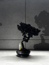 7/14 new RE BONSAI™️ HACHI（漆黒色)