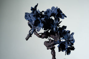 7/29 new RE BONSAI™️ AIZOME SAKURA HACHI