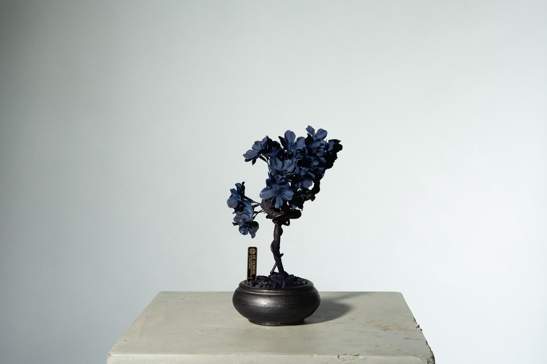 7/29 new RE BONSAI™️ AIZOME SAKURA HACHI