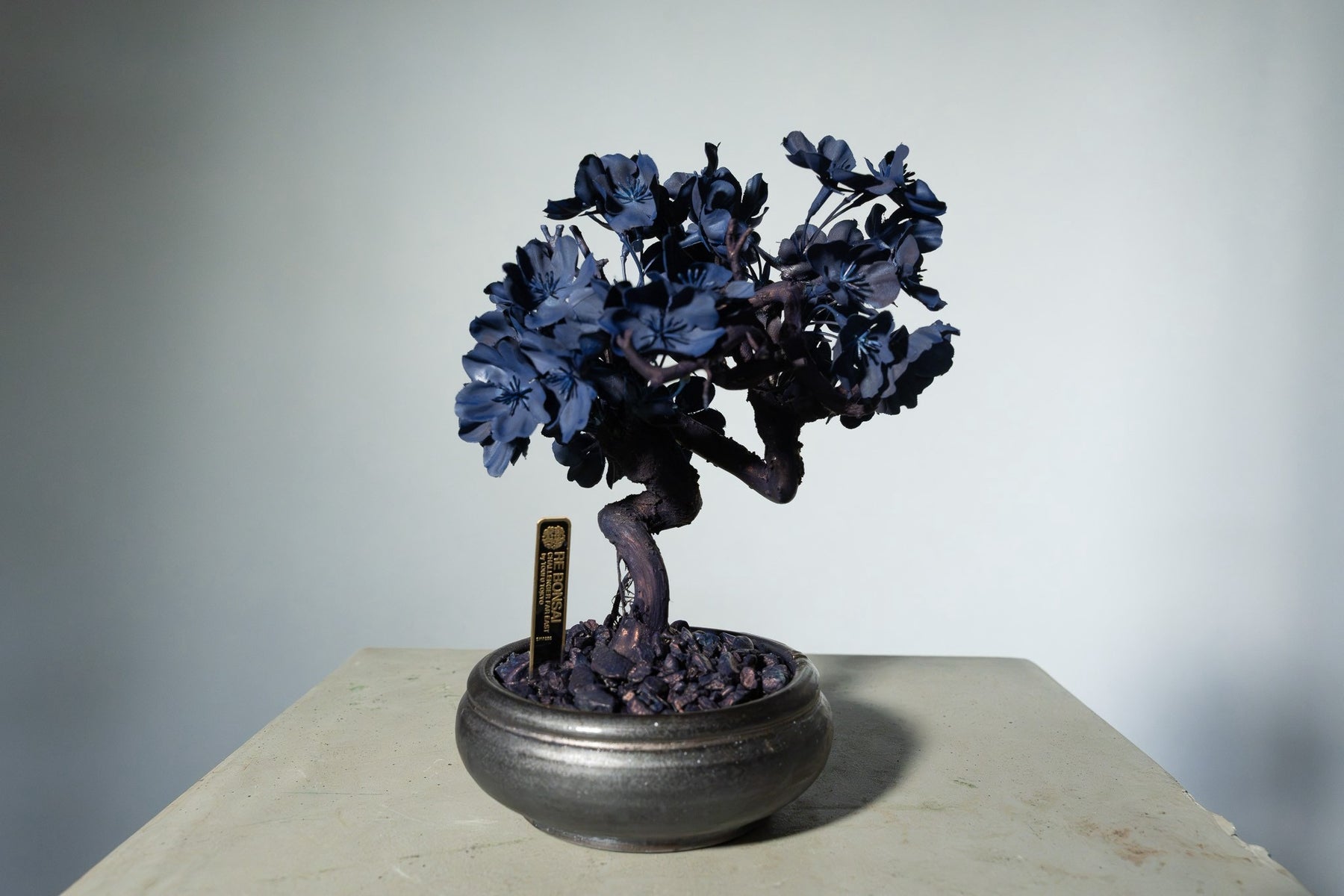 7/29 new RE BONSAI™️ AIZOME SAKURA HACHI