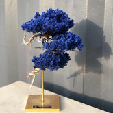 RE BONSAI™️ STAND（紺藍色）