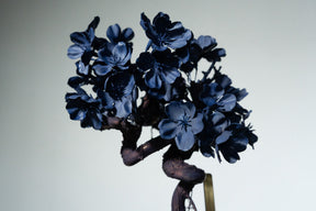 7/29 new RE BONSAI™️ AIZOME SAKURA HACHI