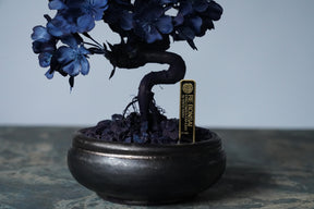 10/2 new RE BONSAI™️ AIZOME SAKURA HACHI