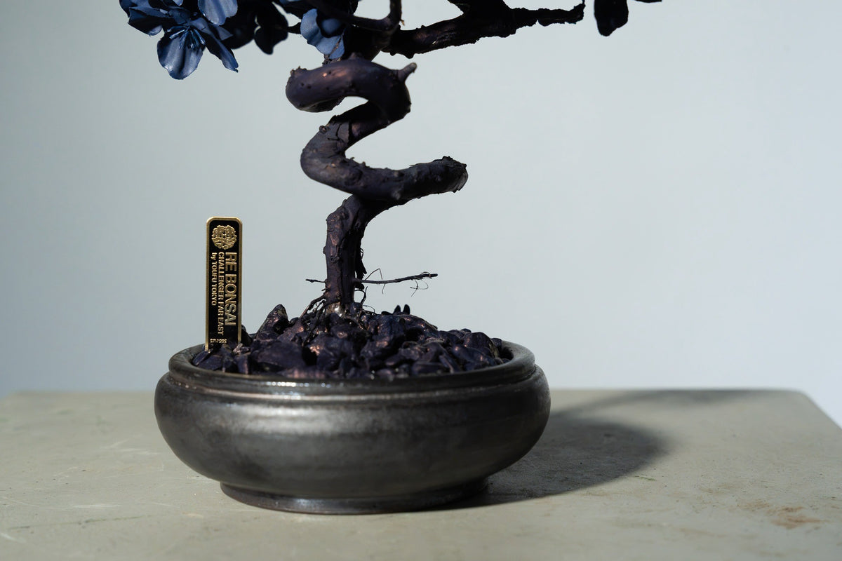 7/29 new RE BONSAI™️ AIZOME SAKURA HACHI