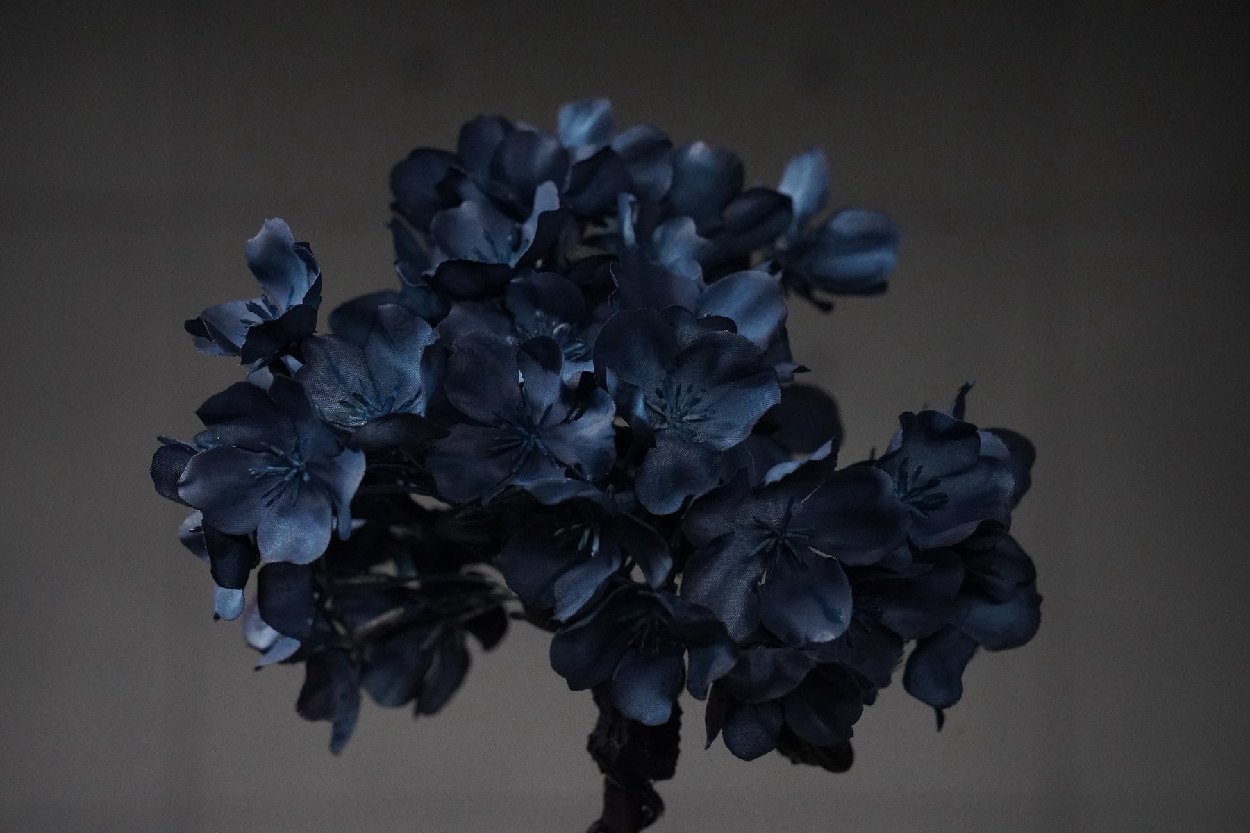 9/15 new RE BONSAI™️ AIZOME SAKURA HACHI