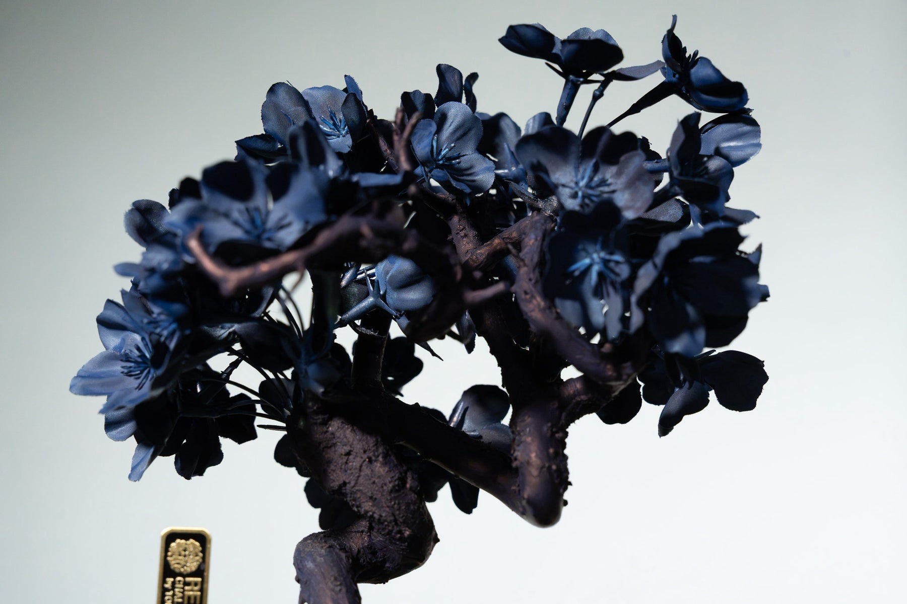 7/29 new RE BONSAI™️ AIZOME SAKURA HACHI