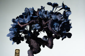 7/29 new RE BONSAI™️ AIZOME SAKURA HACHI