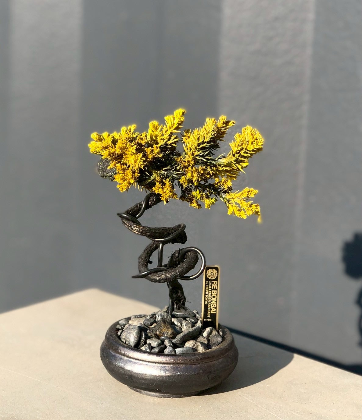 RE Bonsai] TOUFU Co., Ltd. EC site