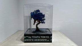 RE BONSAI™️（黒松/紺藍色）