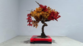 RE BONSAI™️（紅樺色/黄檗色）